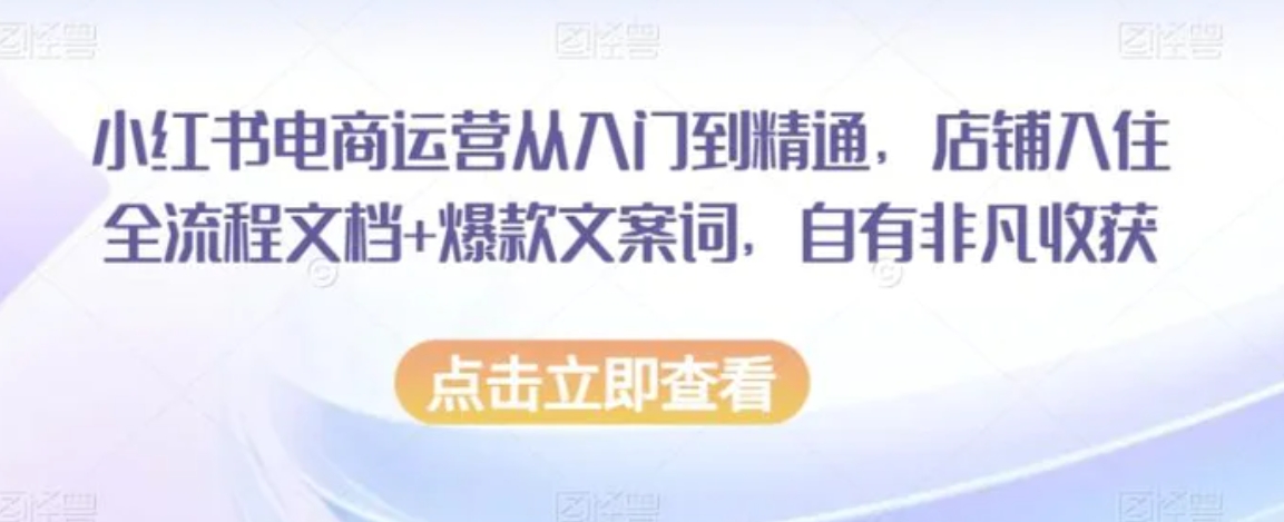 小红书电商运营从入门到精通，店铺入住全流程文档+爆款文案词，自有非凡收获-十一网创