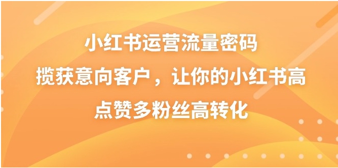 小红书运营流量密码，揽获意向客户，让你的小红书高点赞多粉丝高转化-十一网创