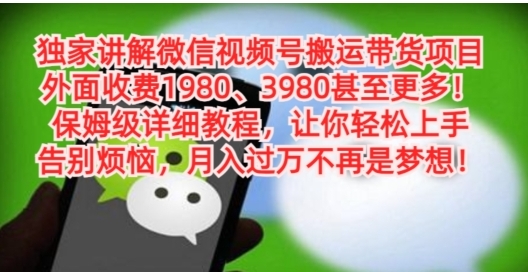 独家讲解微信视频号搬运带货项目，保姆级详细教程-十一网创