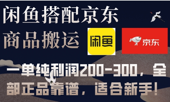 闲鱼搭配京东备份库搬运，一单纯利润200-300，全部正品靠谱，适合新手！-十一网创