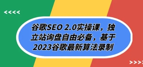 谷歌SEO 2.0实操课，独立站询盘自由必备，基于2023谷歌最新算法录制（94节-十一网创