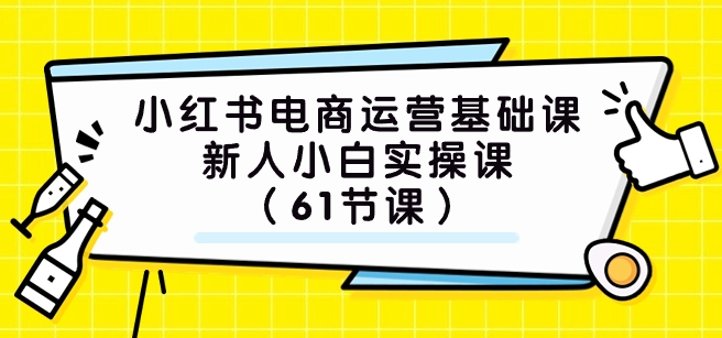 小红书电商运营基础课，新人小白实操课-十一网创