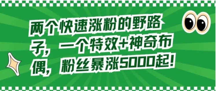 两个快速涨粉的野路子，一个特效+神奇布偶，粉丝暴涨5000起【揭秘】-十一网创