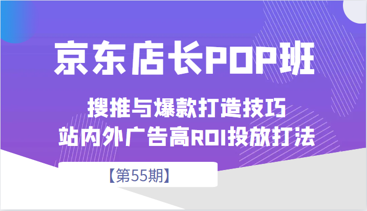 京东店长POP班【第55期】，京东搜推与爆款打造技巧，站内外广告高ROI投放打-十一网创