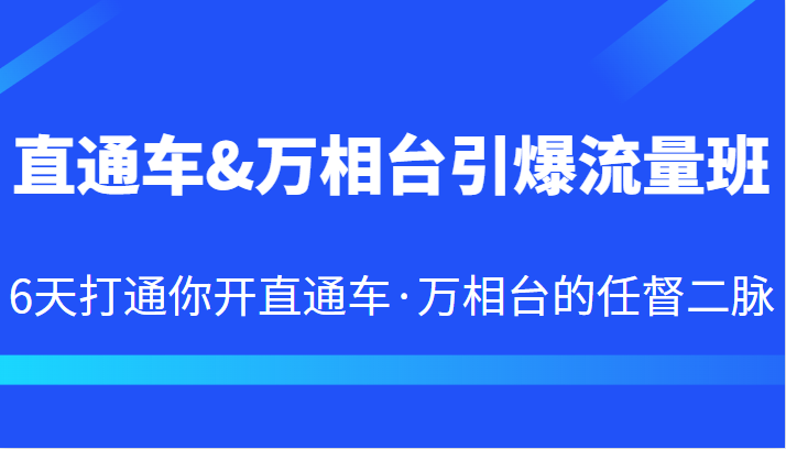 直通车&万相台引爆流量班 6天打通你开直通车·万相台的任督二脉-十一网创