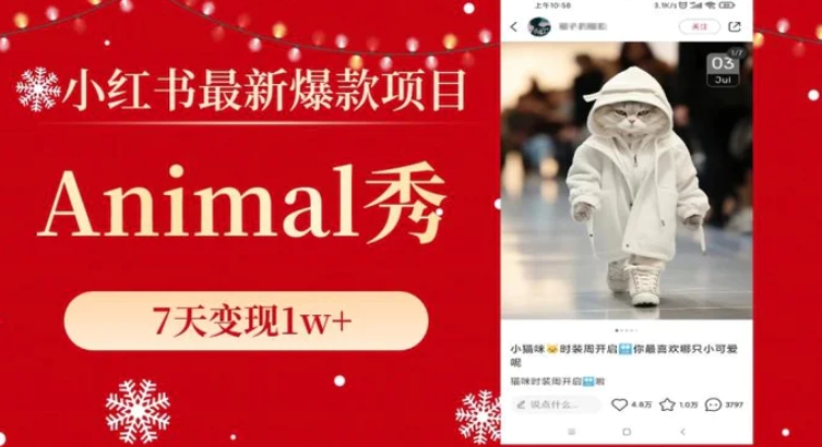 小红书最新爆款项目，Animal秀，7天变现1w+-十一网创