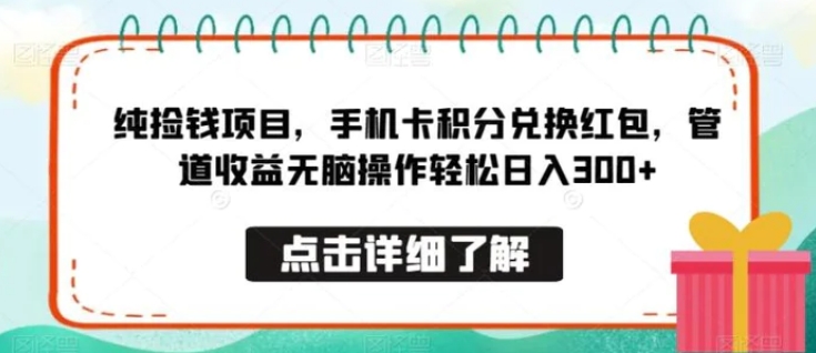 纯捡钱项目，手机卡积分兑换红包，管道收益无脑操作轻松日入300+-十一网创