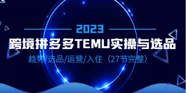 2023跨境·拼多多·TEMU实操与选品，趋势·选品·运营·入住-十一网创