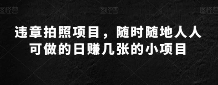 违章拍照项目，随时随地人人可做的日赚几张的小项目-十一网创