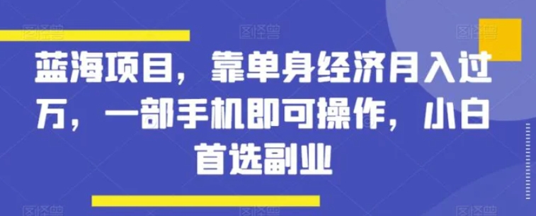 蓝海项目，靠单身经济月入过万，一部手机即可操作，小白首选副业【揭秘】-十一网创