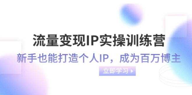 流量变现IP实操训练营：新手也能打造个人IP，成为百万 博主-十一网创