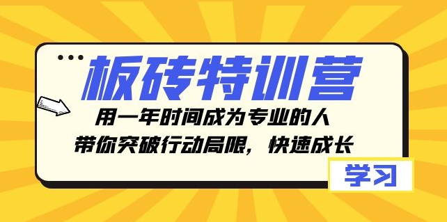 板砖特训营，用一年时间成为专业的人，带你突破行动局限，快速成长-十一网创