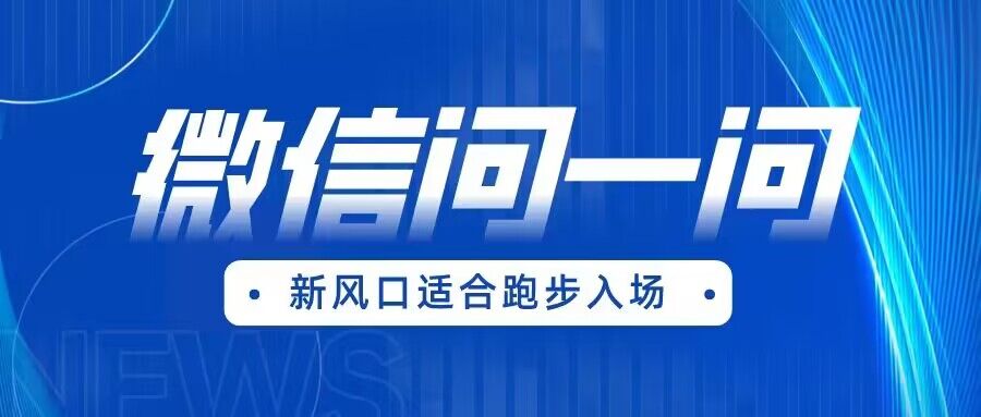 全网首发微信问一问新风口变现项目-十一网创