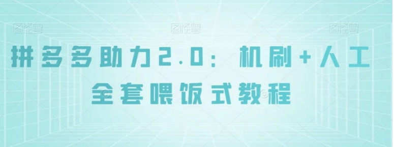 拼多多助力2.0：机刷+人工全套喂饭式教程【揭秘】-十一网创