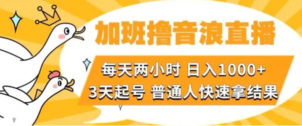 加班撸音浪直播，每天两小时，日入1000+，直播话术才3句，3天起号，普通人快速拿结果【揭秘】-十一网创