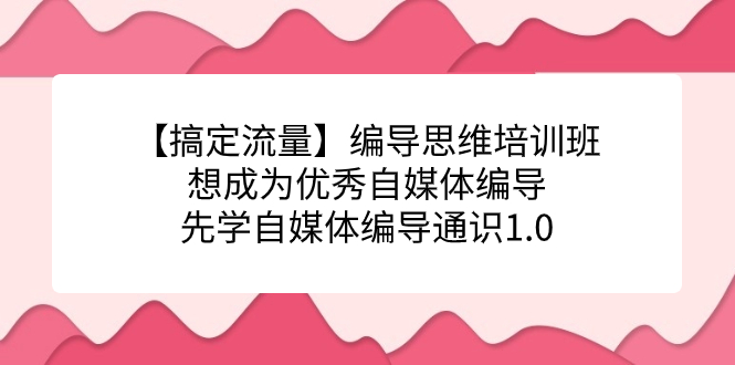 【搞定流量】编导思维培训班，想成为优秀自媒体编导先学自媒体编导通识1.0-十一网创