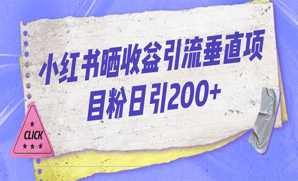 《小红书晒收益图引流》垂直项目粉，日引200+-十一网创