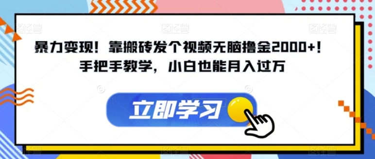 暴力变现！靠搬砖发个视频无脑撸金2000+！手把手教学，小白也能月入过万【揭秘】-十一网创