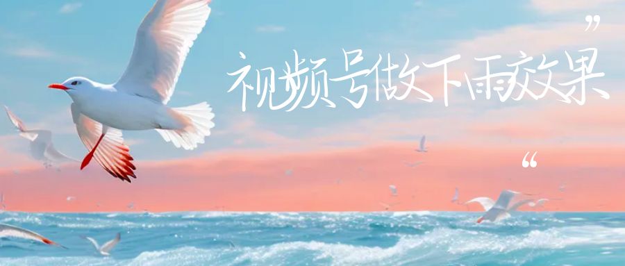 视频号做下雨视频，一个账号一周涨粉10W+，日入1000+附保姆级教程-十一网创