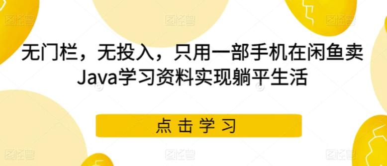 无门栏，无投入，只用一部手机在闲鱼卖Java学习资料实现躺平生活【揭秘】-十一网创