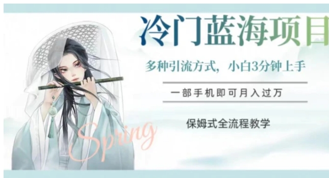 冷门蓝海项目，操作简单，小白3分钟上手，多种引流方式，保姆式全流程教学【揭秘】-十一网创