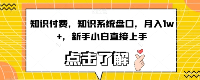 知识付费，知识系统盘口，月入1w+，新手小白直接上手-十一网创
