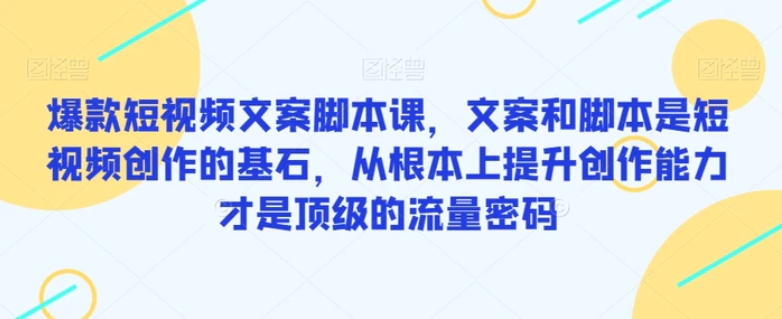 爆款短视频文案脚本课，文案和脚本是短视频创作的基石，从根本上提升创作能力才是顶级的流量密码-十一网创
