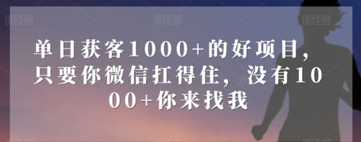 单日获客1000+的好项目，只要你微信扛得住，没有1000+你来找我【揭秘】-十一网创