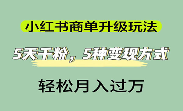 《小红书商单升级玩法》5天千粉，5种变现渠道，轻松月入1万+-十一网创