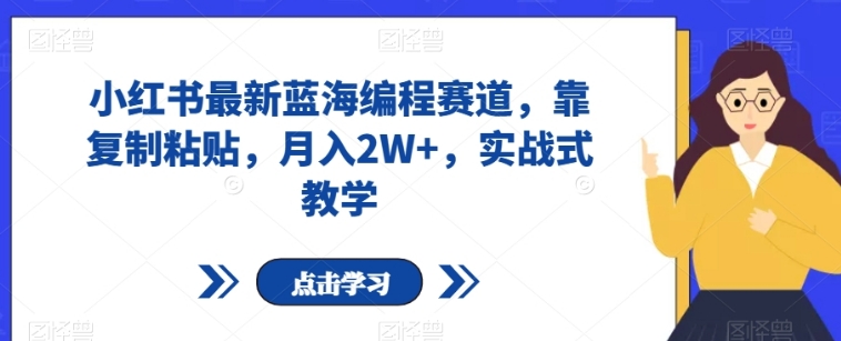 小红书最新蓝海编程赛道，靠复制粘贴，月入2W+，实战式教学【揭秘】-十一网创