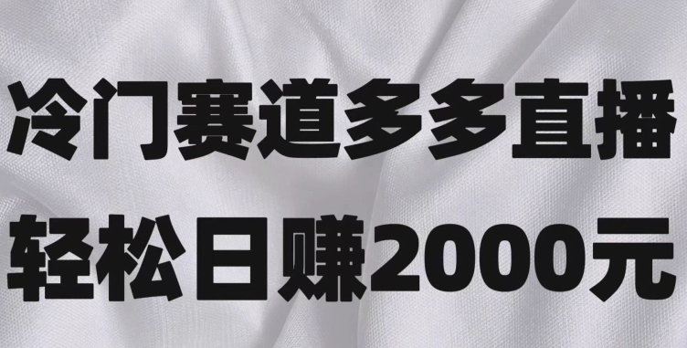 冷门赛道拼多多直播，简单念稿子，日收益2000＋【揭秘】-十一网创