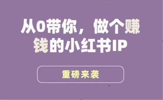 小红书运营大宝典，从0带你做个赚钱的小红书IP-十一网创