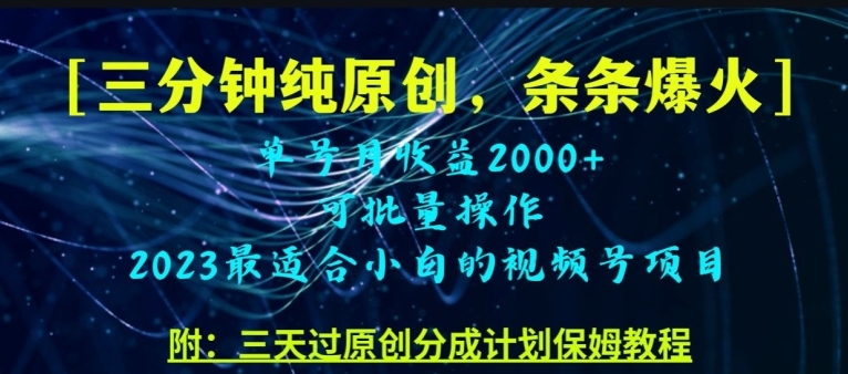 三分钟制作视频号纯原创，条条爆款，轻松月入过万【揭秘】-十一网创