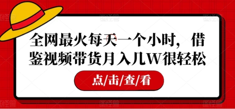 全网最火每天一个小时，借鉴视频带货月入几W很轻松【揭秘】-十一网创