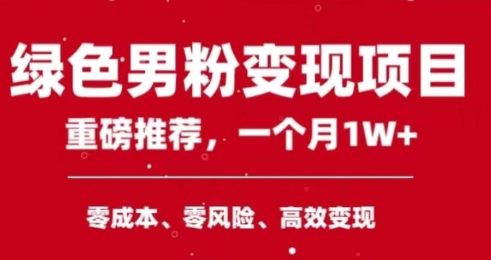 手机操作，月入1W以上副业领袖绿色男粉高客单价项目-十一网创