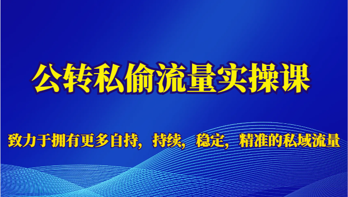 公转私偷流量实操课，致力于拥有更多自持，持续，稳定，精准的私域流量-十一网创