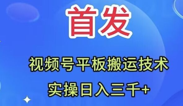 全网首发：视频号平板搬运技术，实操日入三千＋-十一网创