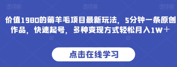 价值1980的薅羊毛项目最新玩法，5分钟一条原创作品，快速起号，多种变现方式轻松月入1W＋【揭秘】-十一网创