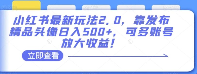 小红书最新玩法2.0，靠发布精品头像日入500+，可多账号放大收益！【揭秘】-十一网创
