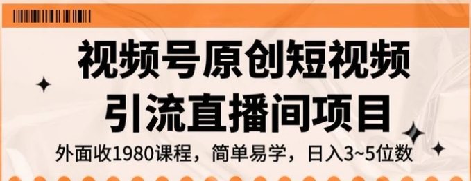 视频号原创短视频引流直播间项目，日入3~5五位数【揭秘】-十一网创