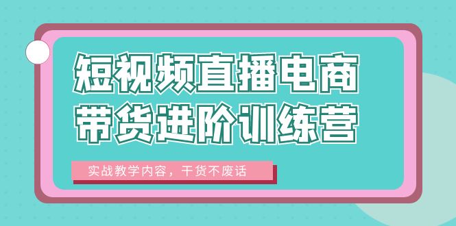 短视频直播电商带货进阶训练营：实战教学内容，干货不废话！-十一网创
