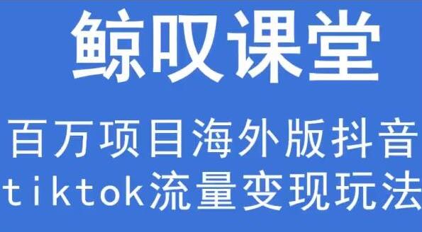 鲸叹号《海外TIKTOK训练营》百万项目海外版抖音tiktok流量变现玩法-十一网创