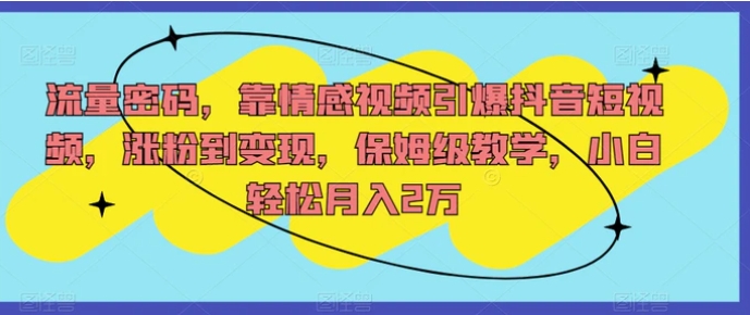 流量密码，靠情感视频引爆抖音短视频，涨粉到变现，保姆级教学，小白轻松月入2万【揭秘】-十一网创