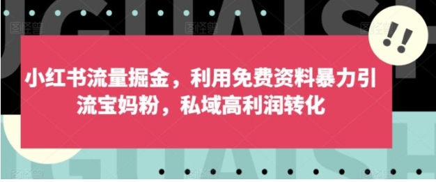 小红书流量掘金，利用免费资料暴力引流宝妈粉，私域高利润转化【揭秘】-十一网创