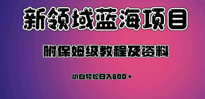 虚拟资源蓝海领域新项目，轻松日入800＋，附保姆级教程及资料-十一网创