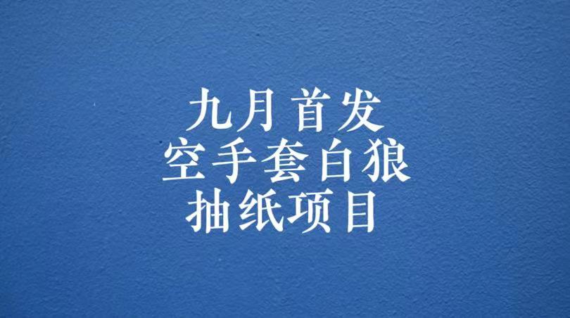 0成本，日入100-500空手套白狼抽纸项目，保姆级教学-十一网创
