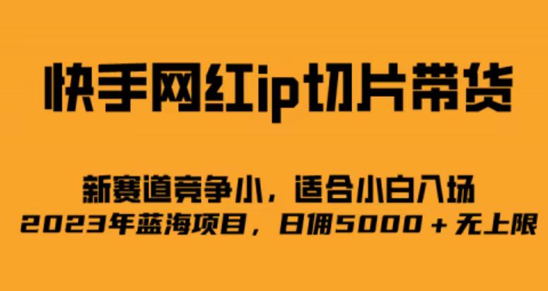 快手网红ip切片新赛道，竞争小，适合小白 2023蓝海项目-十一网创