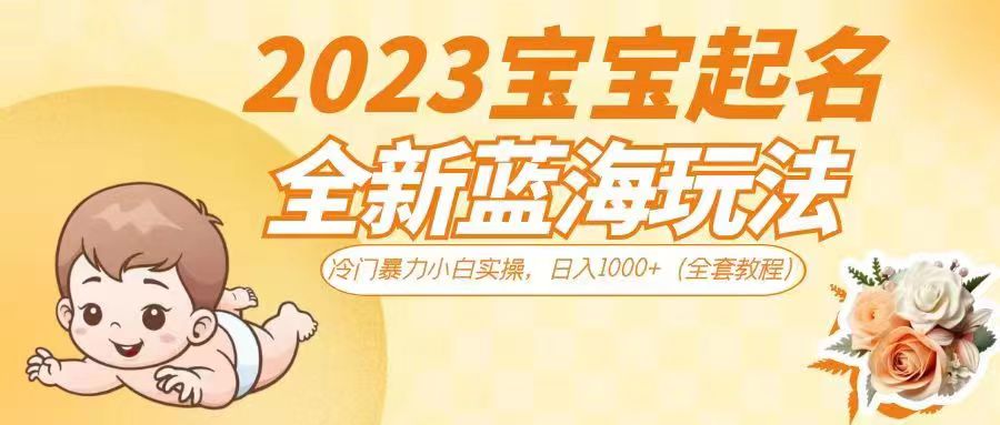2023宝宝起名全新蓝海玩法，冷门暴力小白实操，日入1000+-十一网创