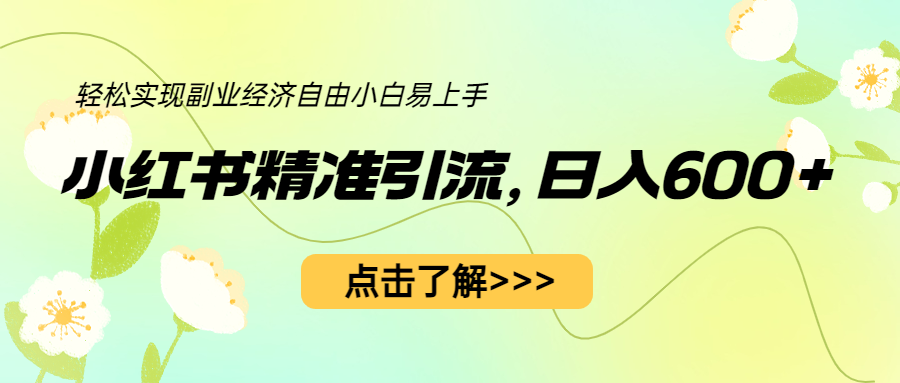 小红书精准引流，小白日入600+，轻松实现副业经济自由-十一网创