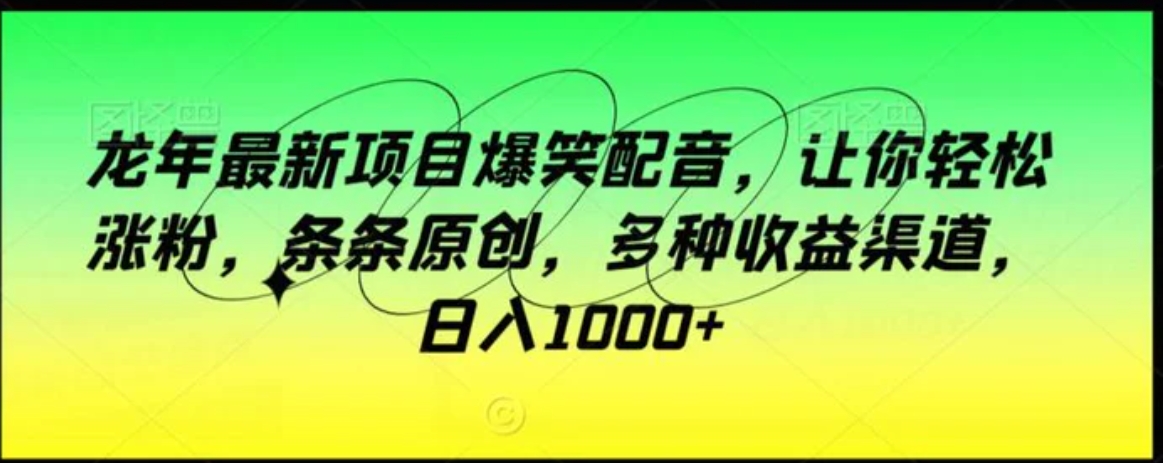 龙年最新项目爆笑配音，让你轻松涨粉，条条原创，多种收益渠道，日入1000+【揭秘】-十一网创